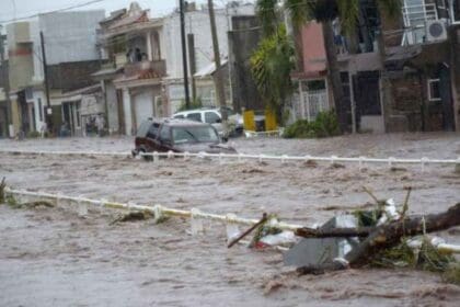 Nuevo proyecto 2022 08 31T095745.082