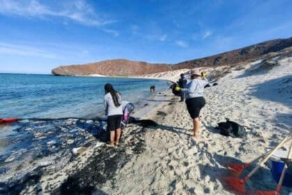 Nuevo proyecto 2022 08 31T161001.420