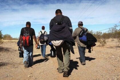 Nuevo proyecto 2022 09 05T125528.477