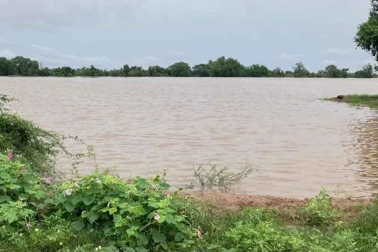 Nuevo proyecto 2022 09 26T095650.619