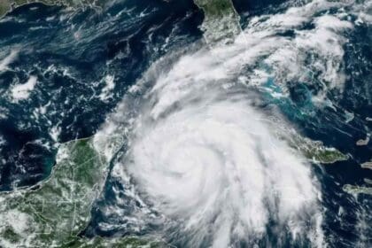 Nuevo proyecto 2022 09 26T173330.408