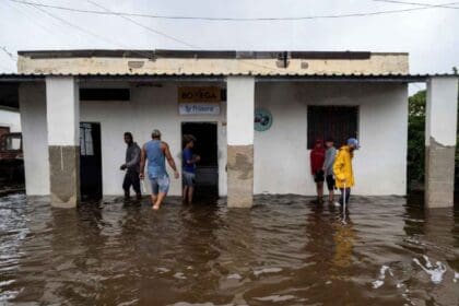 Nuevo proyecto 2022 09 29T134532.850