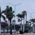 Nuevo proyecto 2022 10 03T080836.002