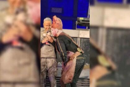 Nuevo proyecto 2022 10 05T131343.740