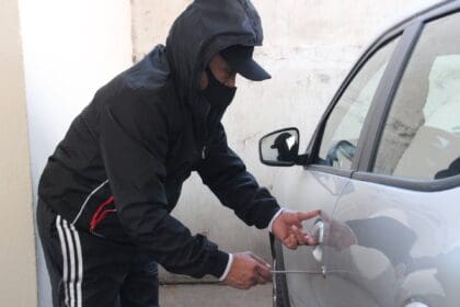 Nuevo proyecto 5 1 2