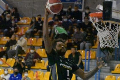 Panteras 2 scaled e1635005157651