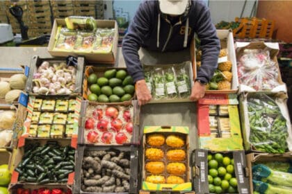 Precio de los alimentos