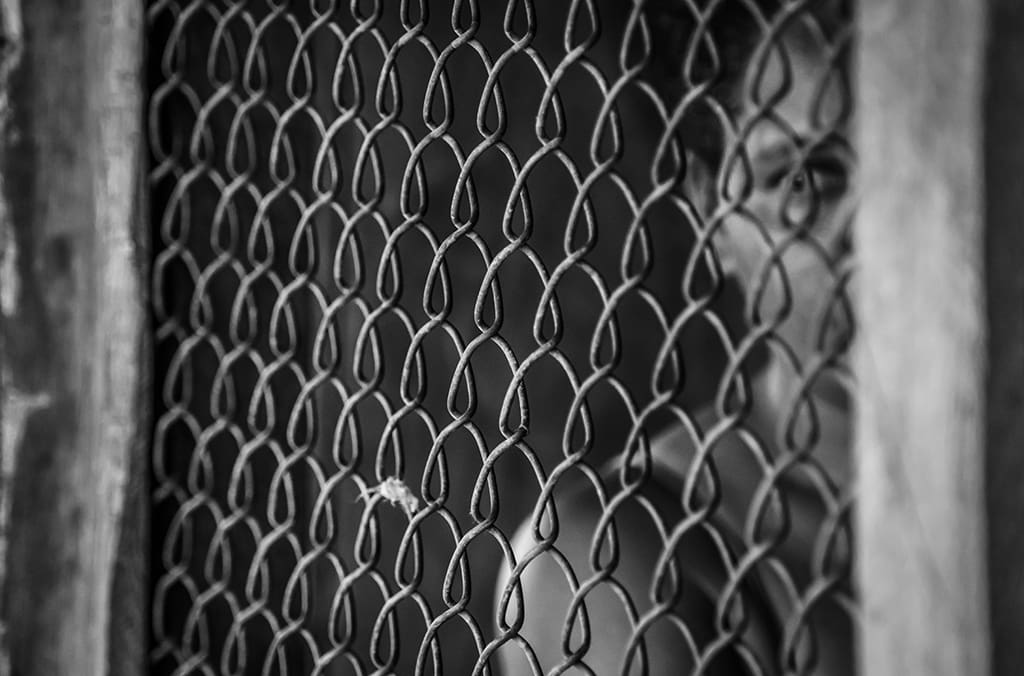 Preview human trafficking 2