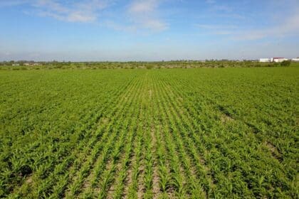 Productores del Campo boletin Gobierno 5