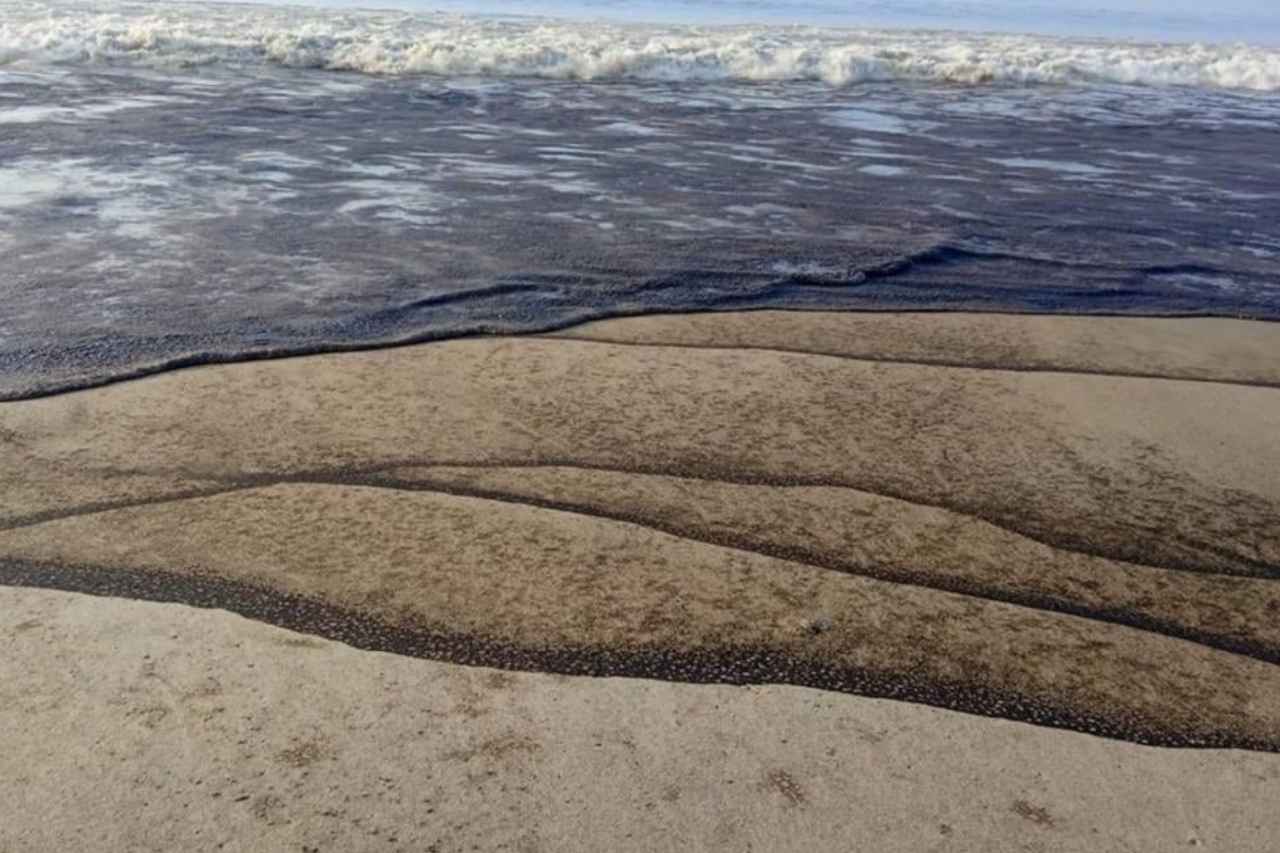 Proyecto nuevo 2022 10 23T131802.810