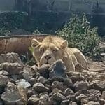 Proyecto nuevo 2022 10 24T143822.314