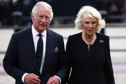 Proyecto nuevo 2022 10 25T140638.111