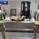 Proyecto nuevo 2022 10 27T091129.950