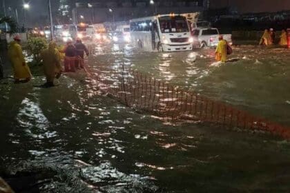 Proyecto nuevo 86