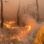 Sin nombre 2022 03 24T100707.288