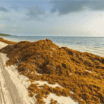 Sin nombre 2022 04 06T100001.780