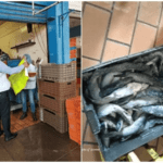 Sin nombre 2022 04 12T110008.395