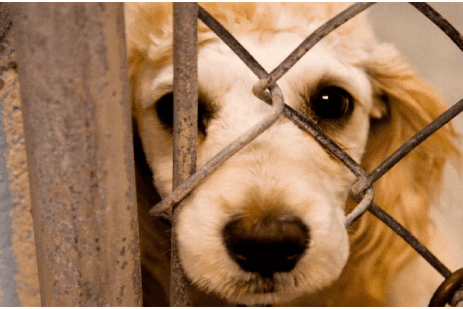 Sin nombre 2022 04 14T133852.428