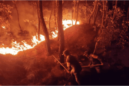 Sin nombre 2022 04 21T121326.343