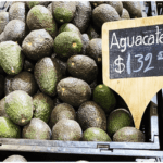 Sin nombre 2022 05 02T140201.498