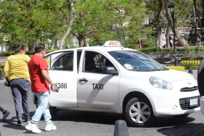 Taxis 1 scaled 2