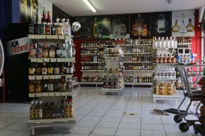 Vinaterias 2 scaled 1