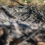 WhatsApp Image 2022 12 29 at 6.46.09 PM