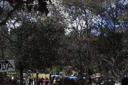 WhatsApp Image 2023 01 03 at 5.28.11 PM