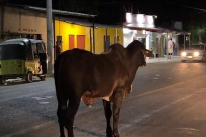 WhatsApp Image 2023 04 27 at 09.10.06 3