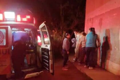 WhatsApp Image 2023 08 09 at 15.41.43 1