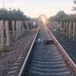 WhatsApp Image 2023 09 06 at 10.12.13