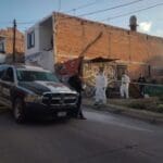 WhatsApp Image 2023 09 26 at 18.32.44