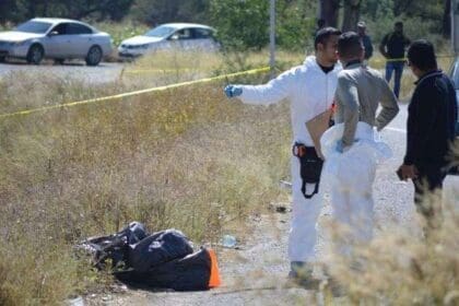 WhatsApp Image 2023 10 03 at 17.54.40 1 1