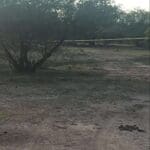 WhatsApp Image 2023 10 26 at 21.38.36 2