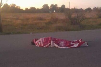 WhatsApp Image 2023 11 08 at 00.15.34 1