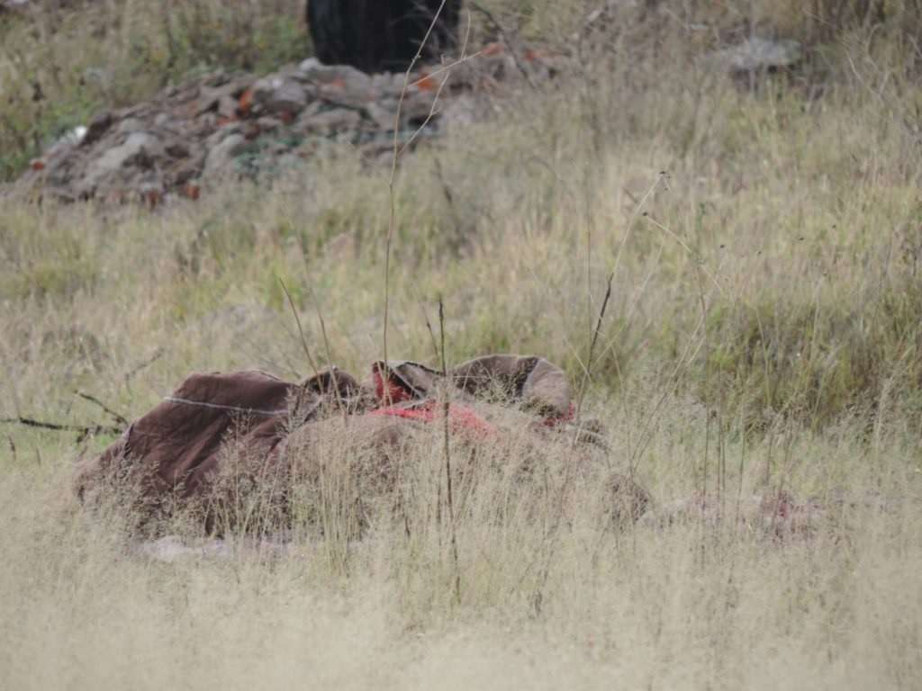 WhatsApp Image 2023 11 13 at 23.26.11 1