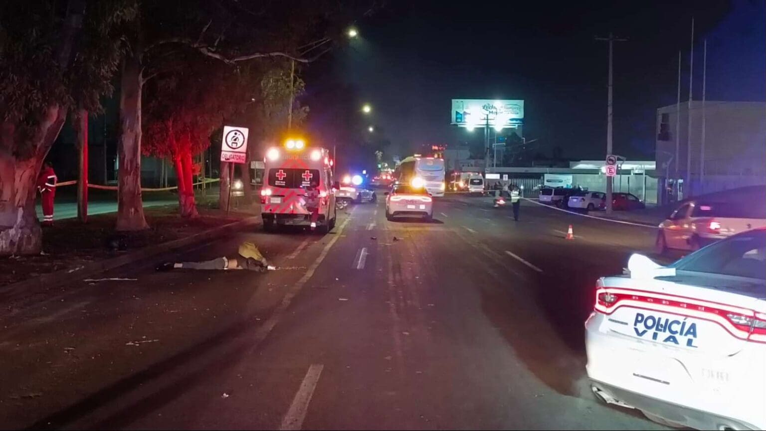 WhatsApp Image 2023 11 27 at 11.23.50 PM 2