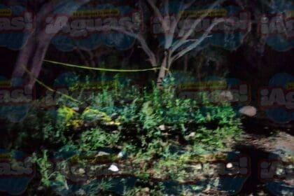 WhatsApp Image 2023 12 02 at 11.12.40 PM 1 1