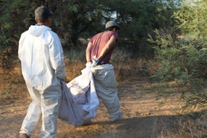 WhatsApp Image 2023 12 07 at 10.58.48 PM 1 1