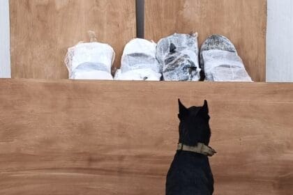 WhatsApp Image 2023 12 12 at 1.14.12 PM e1702421764475