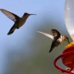 WhatsApp Image 2023 12 26 at 12.57.54 PM