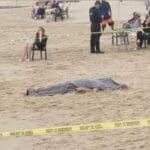 WhatsApp Image 2023 12 26 at 3.15.04 PM