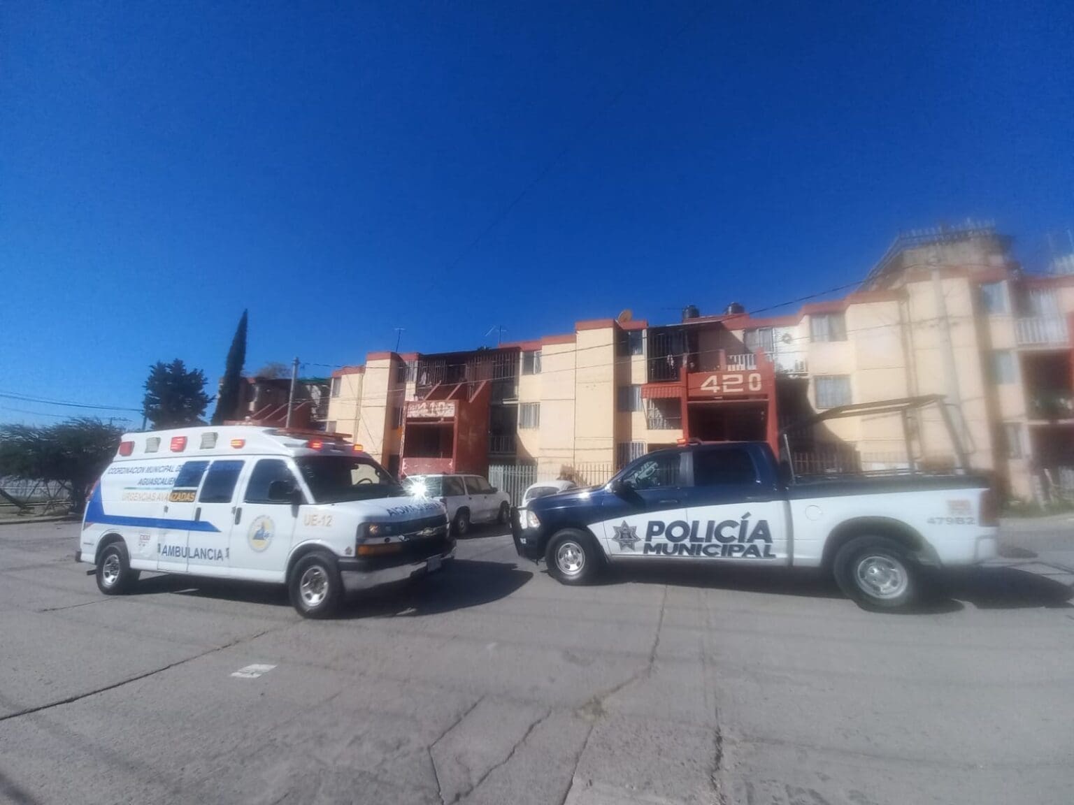 WhatsApp Image 2023 12 28 at 3.15.18 PM