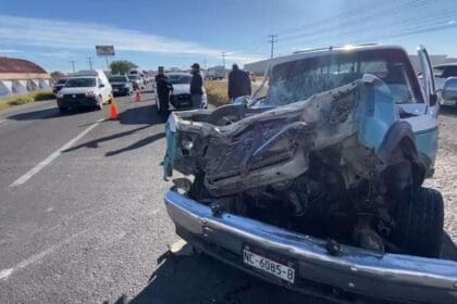 WhatsApp Image 2024 01 05 at 10.08.26 PM 1 1 1