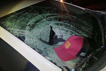 WhatsApp Image 2024 01 05 at 11.50.48 PM 2 1