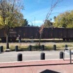 WhatsApp Image 2024 01 09 at 11.55.47 AM 1