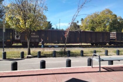 WhatsApp Image 2024 01 09 at 11.55.47 AM 1