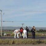 WhatsApp Image 2024 01 10 at 10.16.13 AM 2 1 1