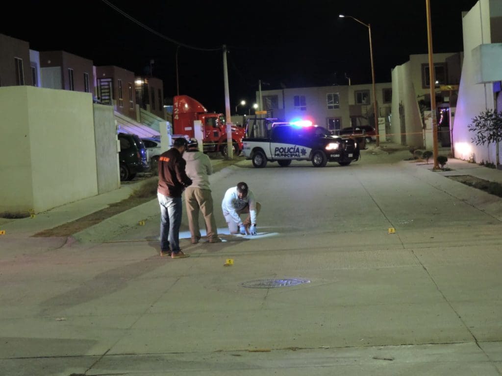 WhatsApp Image 2024 01 13 at 10.44.58 AM