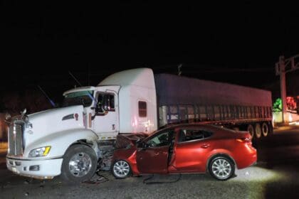 WhatsApp Image 2024 01 13 at 11.44.00 AM